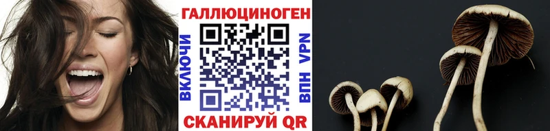 где купить   Терек  Галлюциногенные грибы ЛСД 