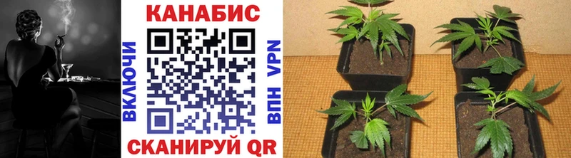 нарко площадка формула  Терек  Марихуана LSD WEED  ссылка на мегу как войти 